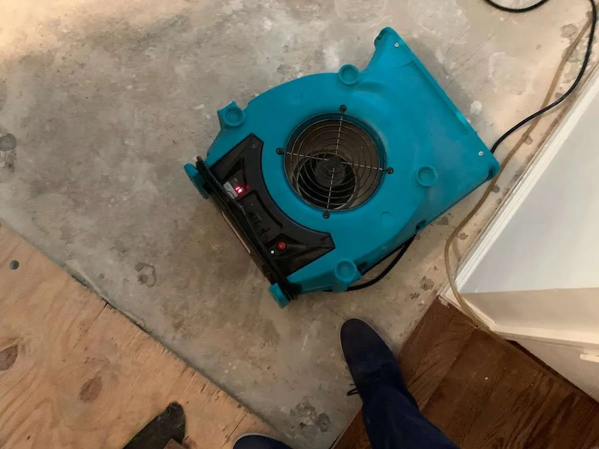 Air mover drying subfloor during Leak Detection & Repair in Mentor
